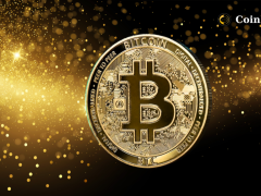 İnsan Kaçakçılığı Davalarında Bitcoin’de Artış Var