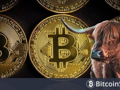 Bitcoin Tüm Zamanların En Yüksek Seviyesinin Üstüne Çıktıktan Kaç Gün Sonra Zirve Seviyesini Görecek? Analist Açıkladı