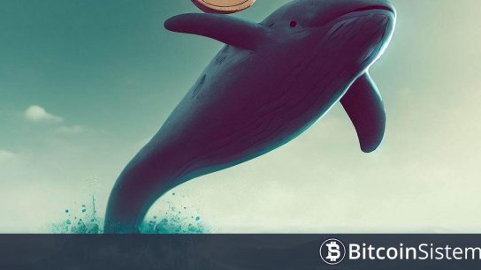 Bitcoin 100.000 Doların Üstüne Çıkmasının Ardından En Eski Balinaların Yaptığı İlk Hamleler Ortaya Çıktı!