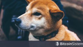 Solana’nın Yeni Ön Satışı Bir Gecede 1 Milyon Dolar Topladı! Yeni BONK Mu Geliyor?