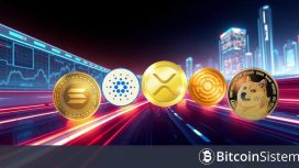 Solana, Dogecoin ve Diğer Popüler Seçimleri Keşfetmek