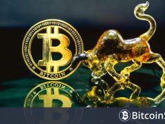 Ünlü Analist, “Bitcoin ve Kripto Paralarda Herkes Ayı Olsa Bile Ben Boğayım” Dedi, 12 Sebep Sıraladı!