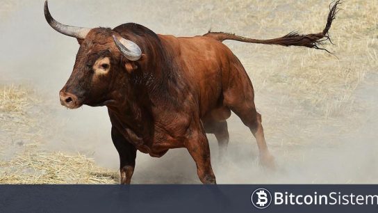 Donald Trump’ın Gümrük Vergileri Bitcoin İçin Büyük Boğa Mı? Analistler Gerçeği Açıkladı