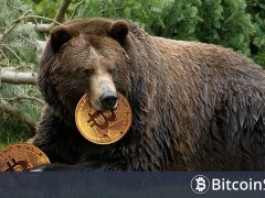 Büyük Ayı Analisti il Capo, Bitcoin ve Altcoinlerin Geleceğine Dair Beklentilerini Sıraladı! Yeni Stratejsini Açıkladı!