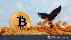 Zayıf Eller Satıyor, Büyükler Topluyor: FTX Dibini Bulan Dev Bitcoin Balinası Son Düşüşte 344 Milyon Dolarlık Alım Yaptı! İşte Önceki Alım Satımları!