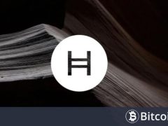 HBAR Kurucu Ortağı, Cardano, Ripple ve Algorand’a İşbirliği Çağrısında Bulundu! İşte Detaylar