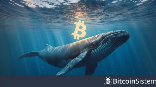 Bitcoin’de Kısmi Toparlanmanın Ardından Balinalar Davranış Değiştirdi: Artık Bunu Yapıyorlar!