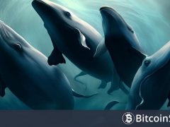 Devasa Balinalar Bu 10 Altcoinde Aktivitelerini Çok Büyük Arttırdı! İşte Liste