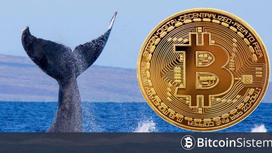 Milyarder Bitcoin (BTC) Balinası Harekete Geçti! Binance’ten Çok Yüklü Varlık Çekti! İşte Detaylar