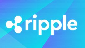Ripple CEO’su: ABD’de Kripto Sahipliği Rekor Seviyede!