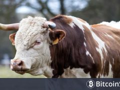 Analist il Capo’nun İki Ay Önce “Boğayım” Dediği Altcoin Çöktü, Açıklama Yapmak Zorunda Kaldı!