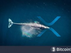 Ripple (XRP) Ağ Aktivitesi Azalıyor, Balinalar Borsalardan XRP Çekiyor! Anlamı Ne? Analist, Beklediği Fiyat Hareketini Paylaştı!