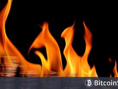 2021’de En Büyük Yakımı Gerçekleştiren Altcoinden Geri Adım! “70 Milyar Token Geri Dönecek!”