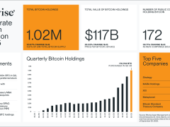 3 ayda 48 yeni hazine ortaya çıktı