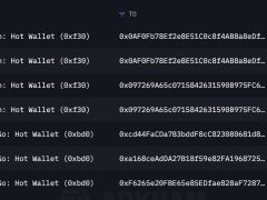 417 milyon dolarlık ETH aldı
