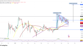 5 dolar hedefi ve ETF onay şansı yüzde 87’ye ulaştı