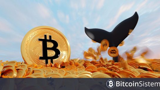 8 Yıldır Uyuyan Bitcoin Balinası Uyandı: Çok Yüklü Miktarda BTC’ye Sahip! İşte Ettiği Kar Miktarı