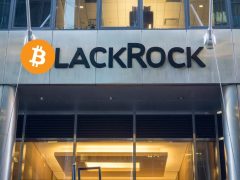 ABD Merkezli Spot Bitcoin Borsa Yatırım Fonları (ETF), 10 Gün Üst Üste Net Giriş Kaydetti! İşte Detaylar