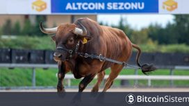 Altcoin Boğası Yolda Mı? Analistler Yeni Gelişen Veriye İşaret Etti
