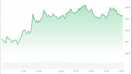 Altcoin ETF furyası büyüyor: Bitwise’tan tarihi Chainlink hamlesi