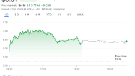 Altın fiyatı rekor kırarken altın destekli stablecoin GLDY hisseleri uçurdu