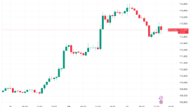 Altın rekor üstüne rekor kırarken Bitcoin gecikmeli ralliye hazır