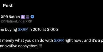 Analist: XRP’yi Şimdi Almak, 2016’da 0,005 Dolardan Almak Gibi