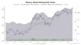 Analistler yeni BTC rekorları bekliyor