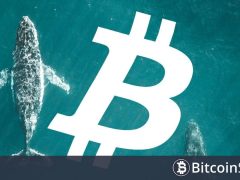 Analiz Şirketi, “Balinalar Bitcoin’e 88.000 Dolardan Short Girdi” Dedi, Anlamını Açıkladı!