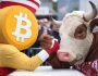 Analiz Şirketi CEO’su “Bitcoin’in Tarihi Döngüsü Kırılmadı” Dedi, Bu Döngü Zirve Fiyat Tahminini Açıkladı!