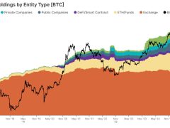 BTC arzının üçte biri kurumların elinde