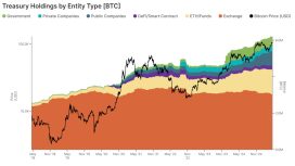 BTC arzının üçte biri kurumların elinde