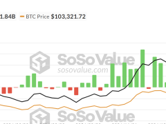 BTC balina aktivitesi boğa piyasasının hızlandığını gösteriyor