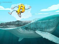 BTC rekora ulaştı ama balinalar satmaya yanaşmıyor