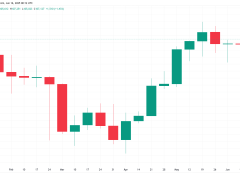 BTC sahiplerinin izlemesi gereken 5 faktör