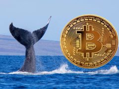 Balinalar Rekor Düzeyde Bitcoin’i Borsalardan Çekiyor! Anlamı Ne?