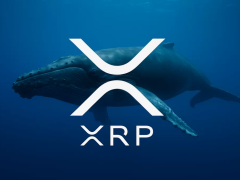 Balinalar XRP’ye 1,5 Milyar Dolar Yatırdı, Ayı Piyasası Testinde Hala Günde 8.700 Dolar Kazanıyor