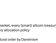 Başarısız altcoin’ler Bitcoin hazinelerini çöküşe sürüklüyor — David Bailey