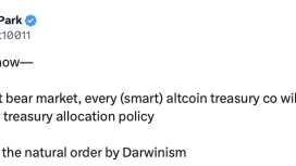 Başarısız altcoin’ler Bitcoin hazinelerini çöküşe sürüklüyor — David Bailey