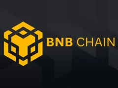 Binance Destekli BNB Geliştiricileri, Destek Verecekleri 13 Kripto Para Projesini Açıkladı! İşte Listesi