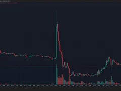 Binance Kurucusu CZ, Daha Önce Fiyatında Artışa Neden Olduğu Altcoini Tek Tweet ile Yıktı!