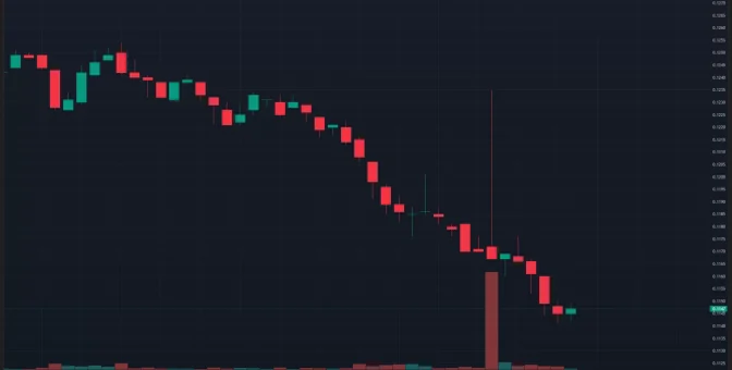 Binance Listeli Altcoin, Gelen Olumlu Haberin Ardından Ani Düşüş Yaşadı!