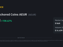 Binance, büyük fiyat artışının ardından euro stablecoin’ini askıya aldı