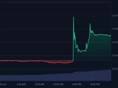 Binance’in Yatırım Kolu, Yatırım Yaptığı Yeni Altcoin Projesini Açıkladı, Fiyatta Ani Artış Yaşandı!