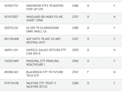 Bir spot Bitcoin borsa yatırım fonu daha gündemde