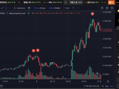 Bir yatırımcı BNB memecoin’leriyle 3.500 doları 7,9 milyon dolara çevirdi