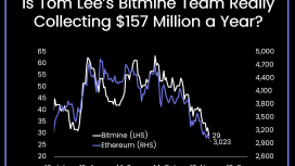 BitMine’ın 3,7 milyar dolarlık dev zararı BlackRock hamlesiyle büyüyor