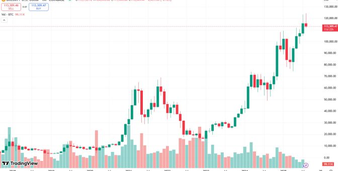 “Bitcoin 100 dolara düşer” diyen Harvard profesörü şimdi bin pişman