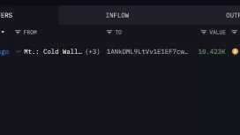 Bitcoin (BTC) Düşerken, Mt.Gox Cüzdanlarında Sekiz Ay Aranın Ardından Büyük Hareketlilik Yaşandı! Ne Yapacaklar?