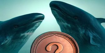 Bitcoin Balinaları Binance’i Tercih Ederken Altcoin Balinaları Bu Borsaya Koşuyor!